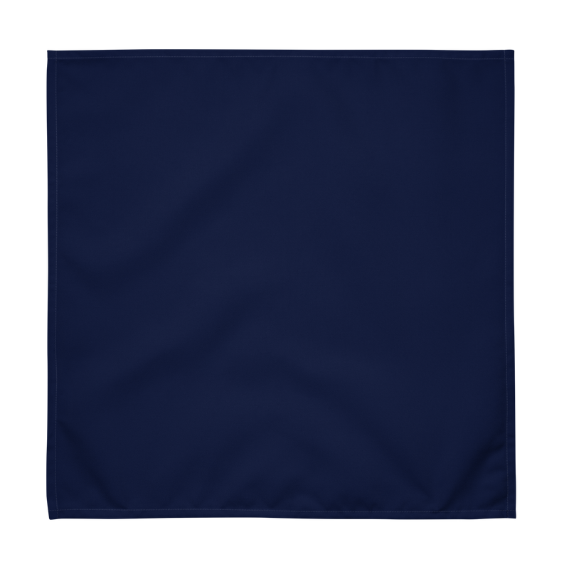 Solid Blue Cloth Napkin Set of 4