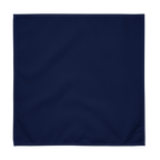 Solid Blue Cloth Napkin Set of 4