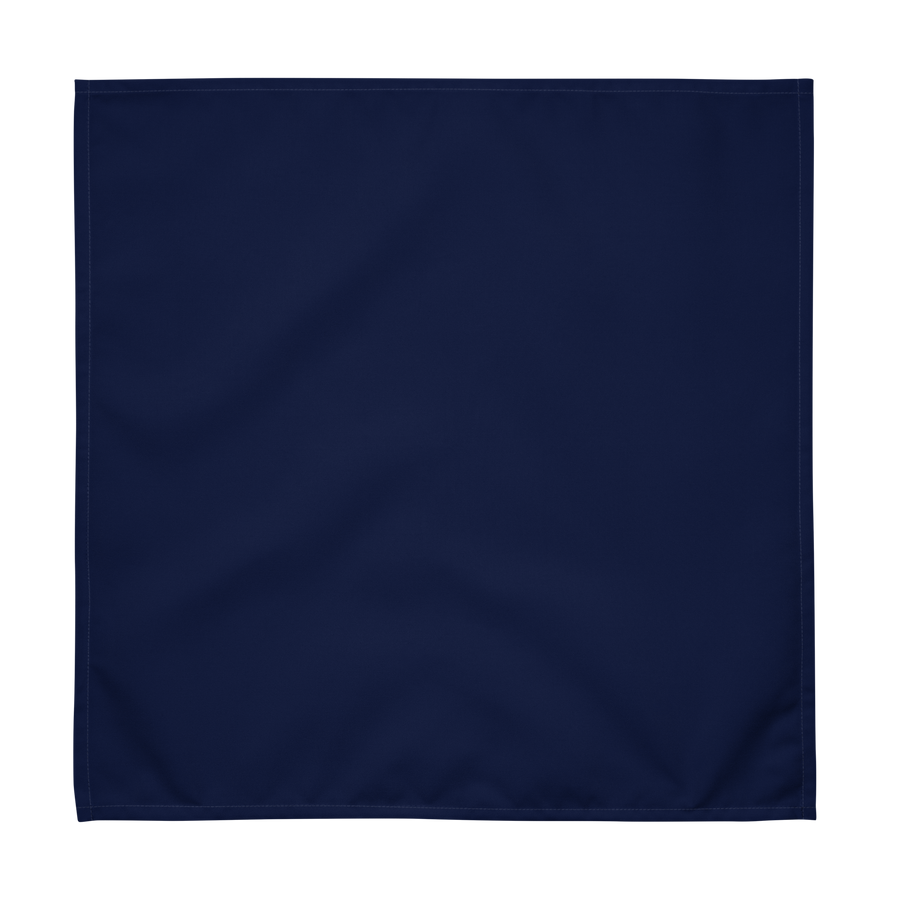 Solid Blue Cloth Napkin Set of 4